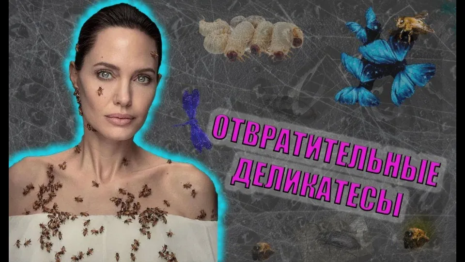 Интересные факты, самая отвратительная еда в мире и её особенности